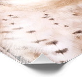 IMPRESSION PHOTO LANNER FALCON (Coin)