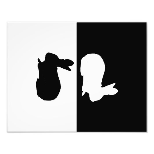 Impression Photo lapin (Devant)