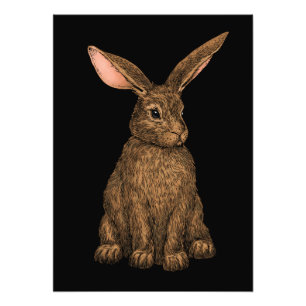 Impression Photo Lapin 3