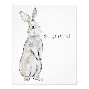 Impression Photo Lapin de velours drôle