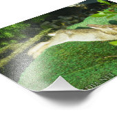 Impression Photo Lapin en Repose (Coin)