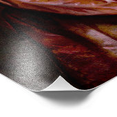 Impression Photo L'arrivée inattendue de papillons (Coin)