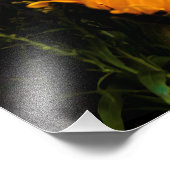 Impression Photo L'art de la nature (Coin)