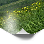 Impression Photo Laurel Highlands Pennsylvania Summer Photography (Coin)