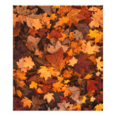 Impression Photo l'automne (Devant)