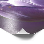 Impression Photo Lavande Tulipe Avec Petite Abeille 8x10 (Coin)