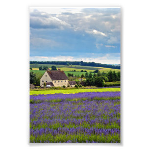 Impression Photo Lavender Field Fleurs été Cotswolds Angleterre
