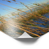 Impression Photo L'avoine marine (Coin)