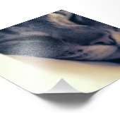 Impression Photo Lazy Cat (Coin)