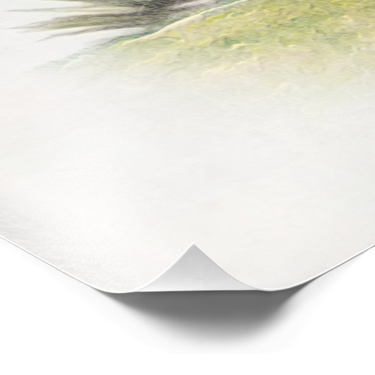 Impression Photo Le Boykin Spaniel (Coin)