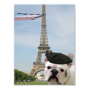 Impression Photo Le bulldog français à Paris