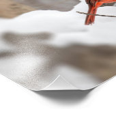 Impression Photo Le cardinal masculin dans la neige (Coin)