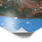 Impression Photo Le cerf rouge (Cervus elaphus) (Coin)