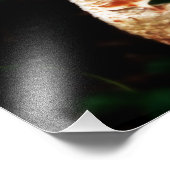 Impression Photo Le Champignon Épique (Coin)