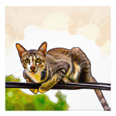 Impression Photo Le chat du bengale (Devant)