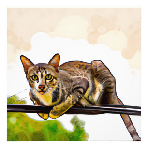 Impression Photo Le chat du bengale