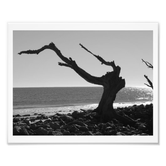 Impression Photo Le chef (Devant)