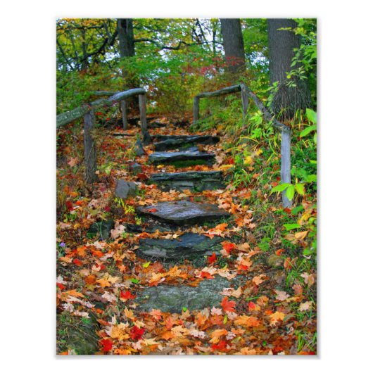 Impression Photo Le chemin (Devant)