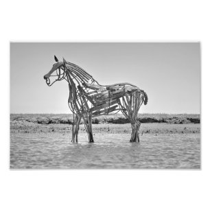 Impression Photo Le cheval de sauvetage, Wells-next-the-Sea