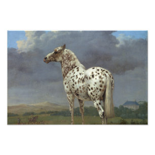 Impression Photo Le cheval pie