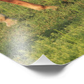 Impression Photo Le Cheval Rouge du Kansas dans un pâturage (Coin)