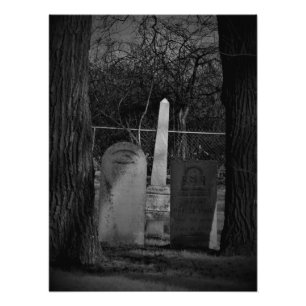 Impression Photo "Le curieux morbide"