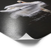 Impression Photo Le cygne au repos (Coin)