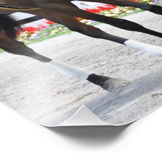 Impression Photo Le décodeur de Stuart Janney (Coin)