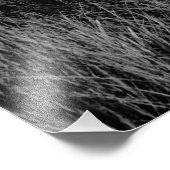 Impression Photo Le Dernier billet (Coin)