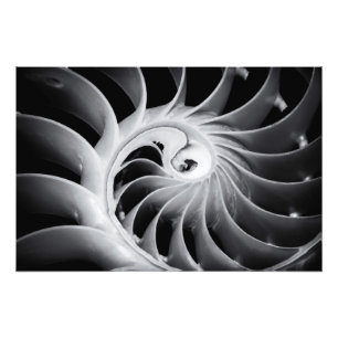 Impression Photo Le design de la nature