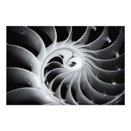 Impression Photo Le design de la nature (Devant)