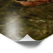 Impression Photo "Le docteur Gnome inspecte la langue de la grenoui (Coin)