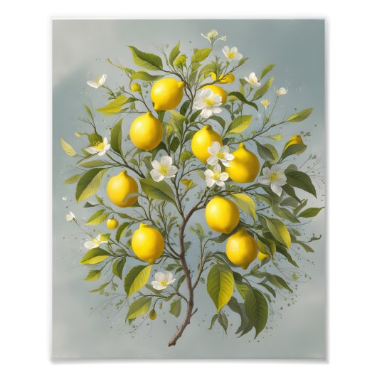 Impression Photo Le don du printemps : la floraison du citronnier (Devant)