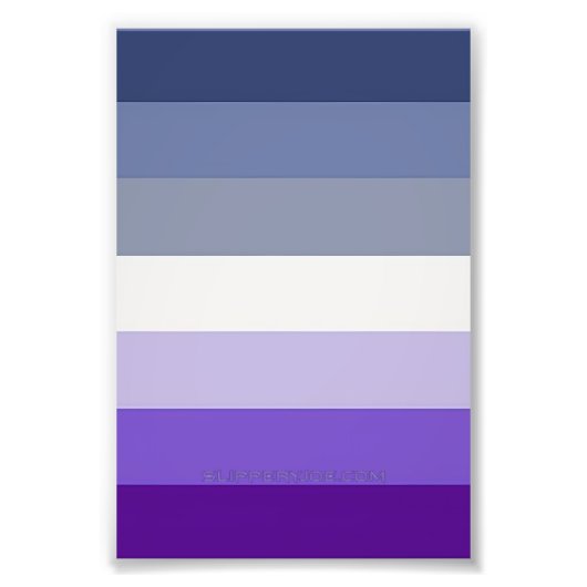 Impression Photo Le drapeau de la fierté lesbienne butch de Slipper (Devant)