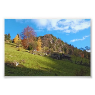 Impression Photo Le Haut Pré - Nature Sauvage Roumanie