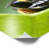 Impression Photo Le joyeux bug (Coin)