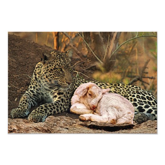 Impression Photo Le léopard s'allongera avec l'enfant Isaïe 11 (Devant)