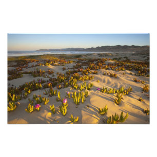Impression Photo Le lever du soleil éclaire les dunes de sable et l