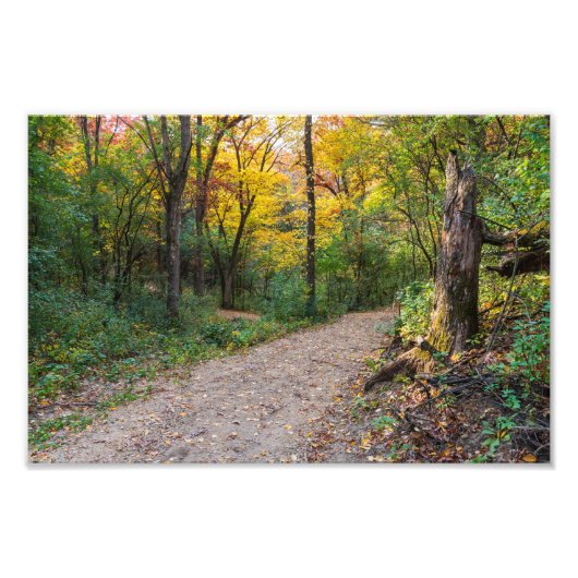 Impression Photo le long du sentier forestier sinueux des collines (Devant)
