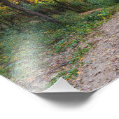Impression Photo le long du sentier forestier sinueux des collines (Coin)