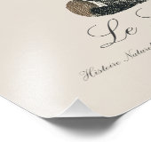 Impression Photo Le Lori ecaille / Lory à rayures bleues (Coin)