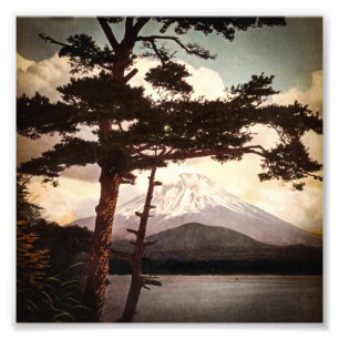 Impression Photo Le Mont Fuji à travers les pins Vintage Vieux-Japo