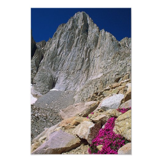 Impression Photo Le Mont Whitney Et Les Fleurs sauvages (Devant)
