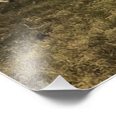 Impression Photo Le mouton et les lions coexistent en harmonie (Coin)