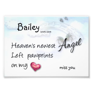 Impression Photo Le nouvel ange a laissé des empreintes de pattes s