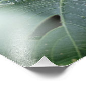 Impression Photo Le papillon et les Feuilles (Coin)