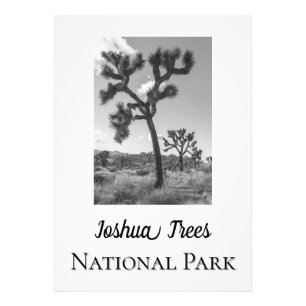 Impression Photo Le Parc national de Joshua Trees