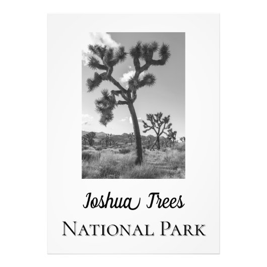 Impression Photo Le Parc national de Joshua Trees (Devant)