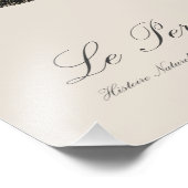 Impression Photo Le Perroquet Cendré - illustration du 19e siècle (Coin)