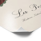 Impression Photo Le Perruche écarlate (Coin)